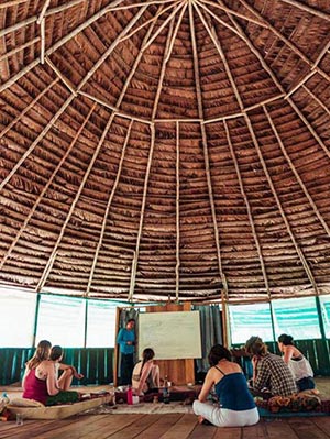 ayahuasca foundation riosbo ayahuasca research center healing empowerment course maloca