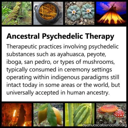 ancestral psychedelic therapy is a separate branch of the emerging field of psychedelic therapy